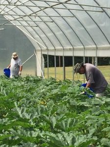 MBCI community food projects