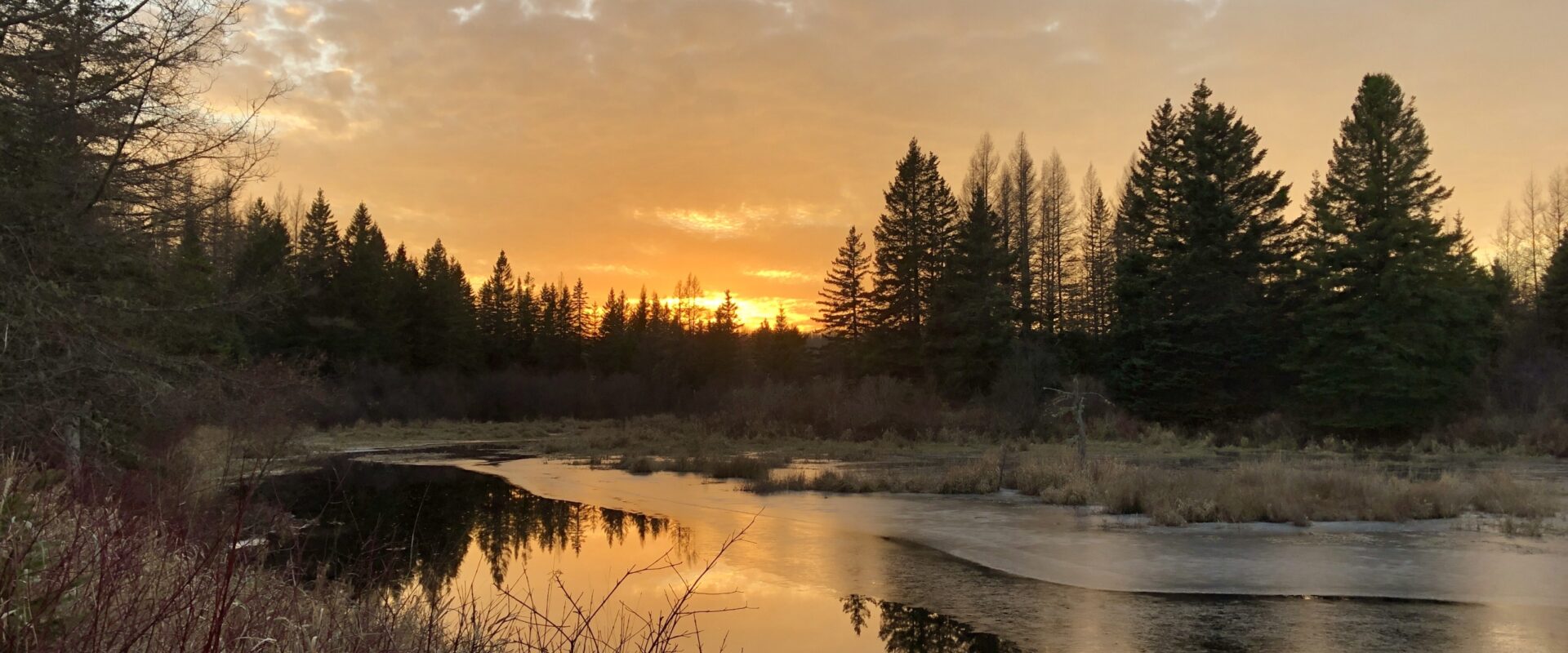Sunset casting golden light over a partially frozen river surrounded by evergreen trees and dry grasses.